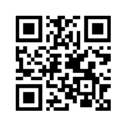 QR Code for t-P.000029