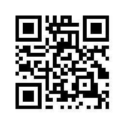 QR Code for t-P131.0029