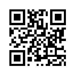 QR Code for t-K1 A 29 G4